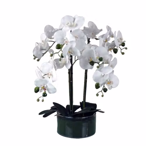 Botanik Leaf Realistic Artificial White Orchid in a Round Glass Planter, Height: 50 cm – 5