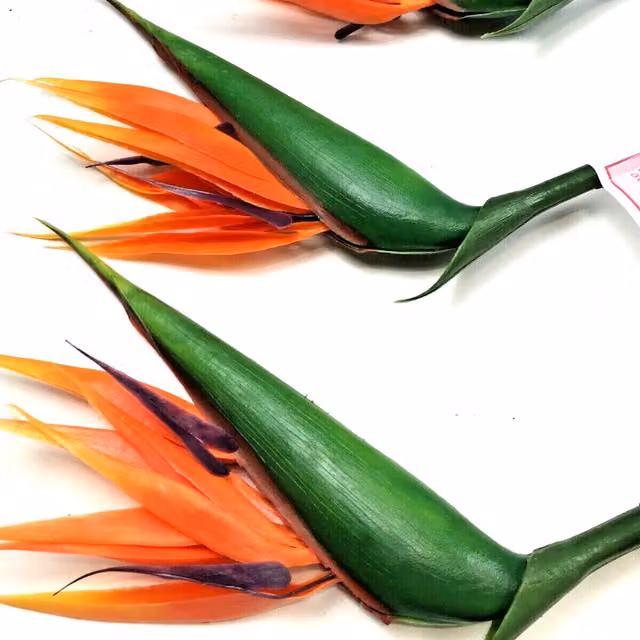 Blue Frog Toys 3 Large Orange and Purple Bird of Paradise Flower Stems