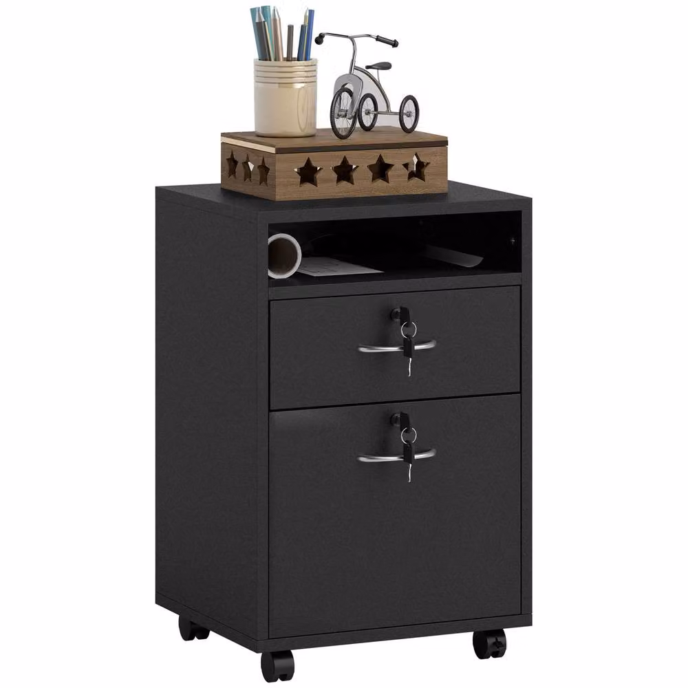 ERGOVEXA Mobile Filing Cabinet with 2 Drawers and Lock, Black – 2