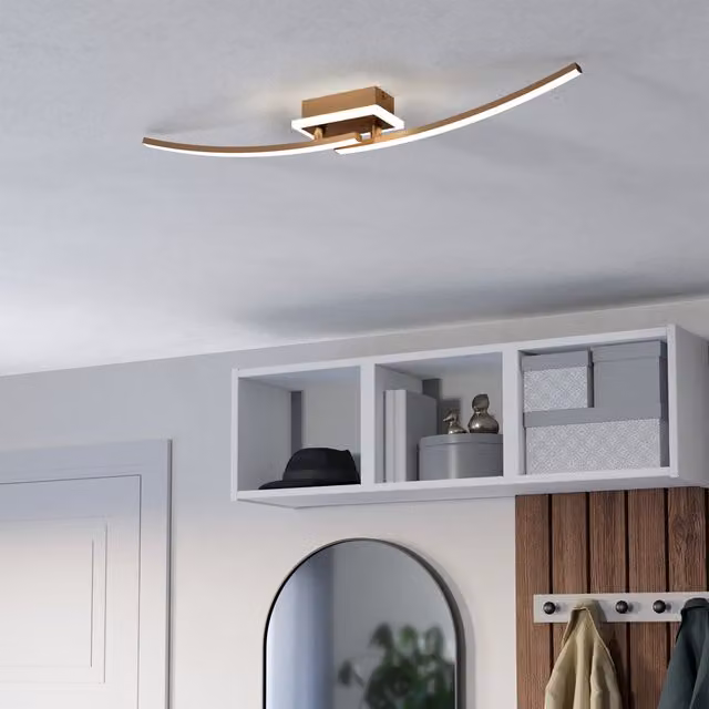 Eglo Lungolago Minimalist Ceiling Light in Bronze and Stainless Steel