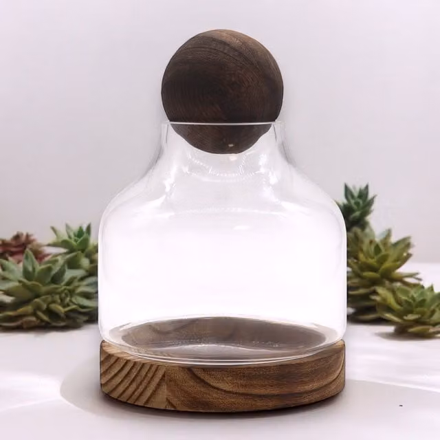 KDMD Medium Ball Top Terrarium on Dark Tung Wood in Brown – 1