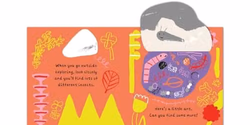 Two Hoots A Little World of Ants: A Lift-the-Flap Adventure Multicolour Paperback Book – 3