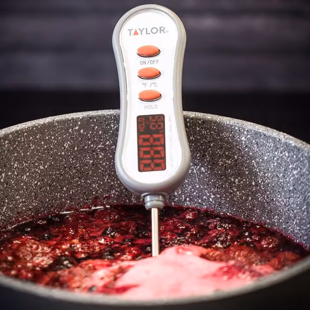 Taylor Pro Digital Step Stem Thermometer in Grey