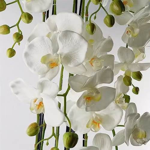 Leaf Design UK Realistic White Artificial Orchid Plant in Green Pot, Height: 110 cm – 2
