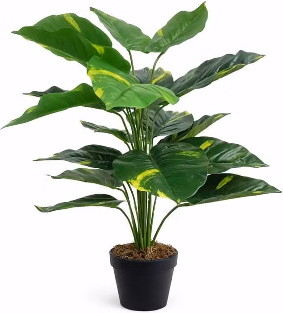 Leaf Design UK Artificial Devil's Ivy Potted Plant in Green, Height: 60 cm – 4