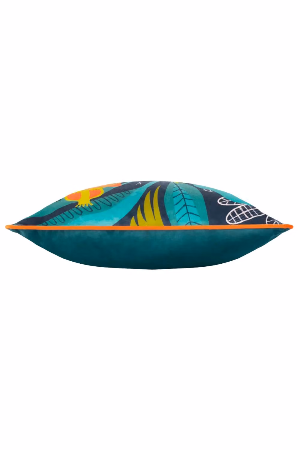 Riva Home Multicolour Animal Graphic Velvet Square Cushion, W/D/H: 43 x 43 x 43 cm – 2