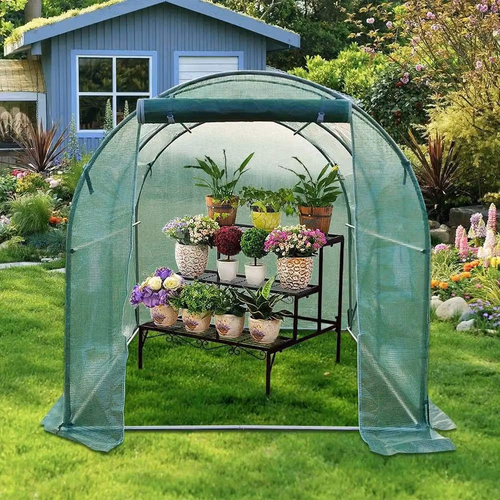 FLAVORA Reinforced Walk In Polytunnel Greenhouse in Green, W/D/H: 2 x 2 x 2 m – 2