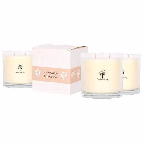 Nicola Spring Soy Wax Scented Candles, Pack of 3, 400g Each, Fresh Fruity Fragrance in Transparent Glass Jars