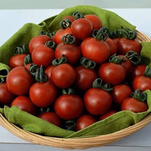 Thompson and Morgan Tomato Garnet Seed Packet (10 Seeds)