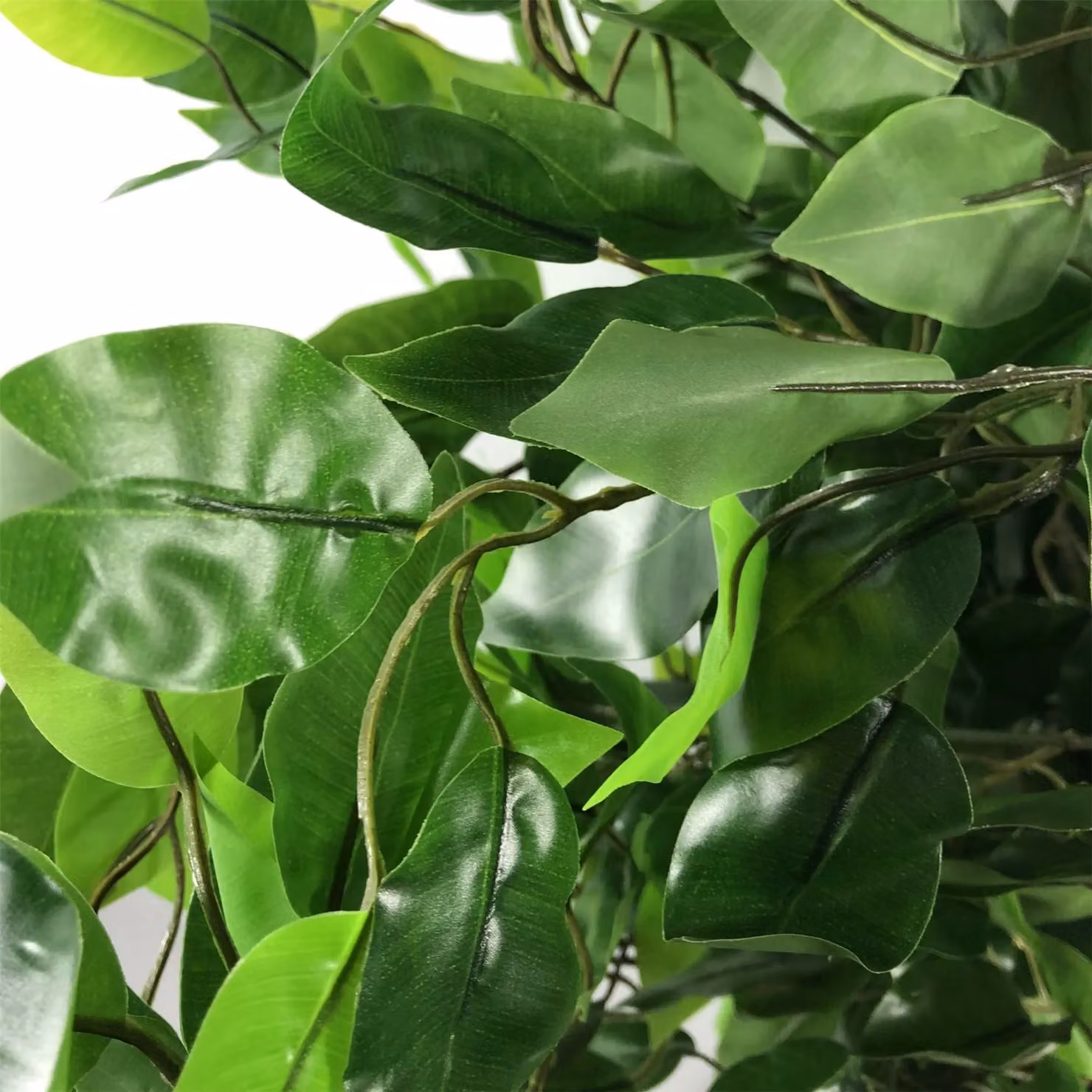 Leaf Design Realistic Artificial Ficus Tree in Green, Height: 120 cm – 2