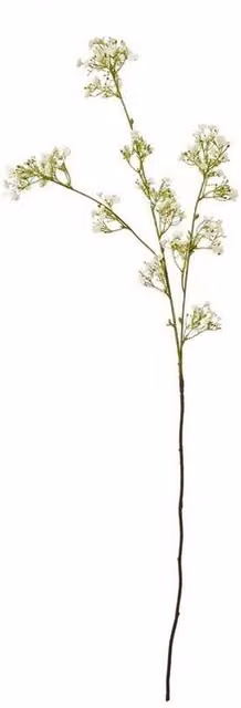 Lemon Pavilion Gypsophila Floral Spray in Cream and Beige, Height: 106 cm