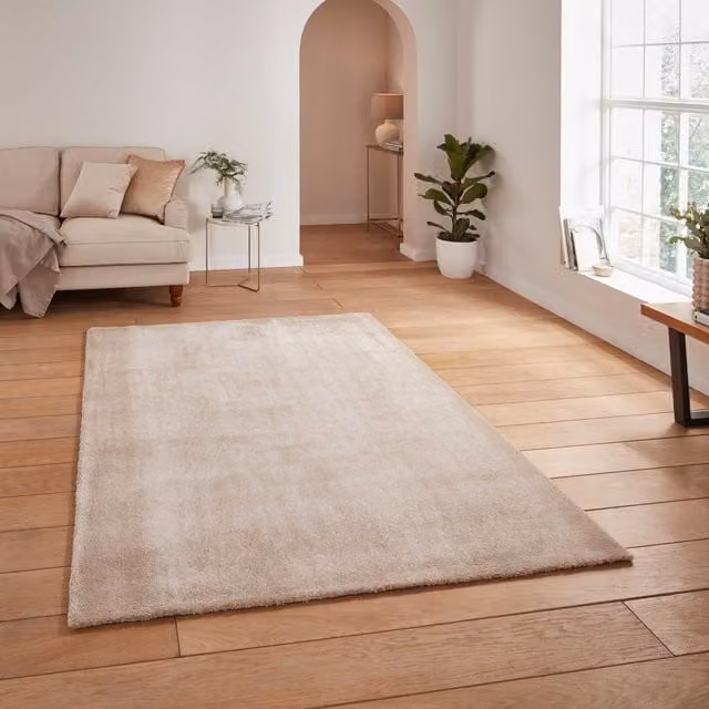 Terrys Beige Washable Rectangular Minimalist Plain Rug
