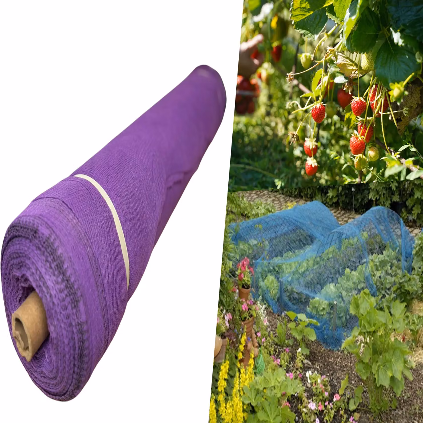 Pegdev Purple UV-Stabilised Strawberry Netting for Fruit Plants and Vegetable Gardens, 18m – 2