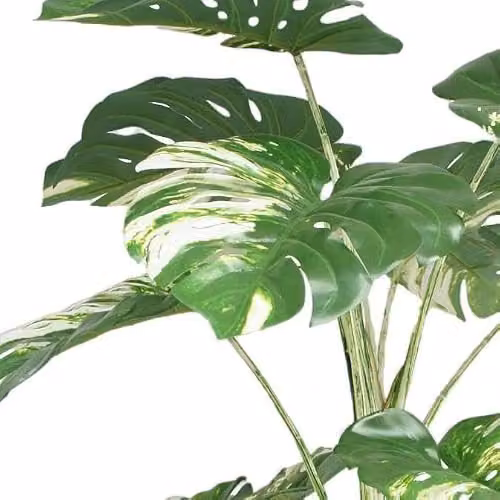 LeafUK Green Artificial Monstera Plant Tree, H 180 cm x W 80 cm x D 80 cm – 2