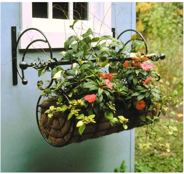 Poppyforge Regal Swing Planter in Black Solid Steel, W: 60 cm, D: 45 cm, H: 117 cm