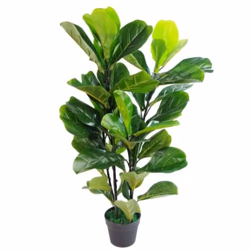 Leaf Design UK Large Artificial Fiddle Fig Tree Ficus Lyrata in Green with Black Plastic Pot, Height: 90 cm