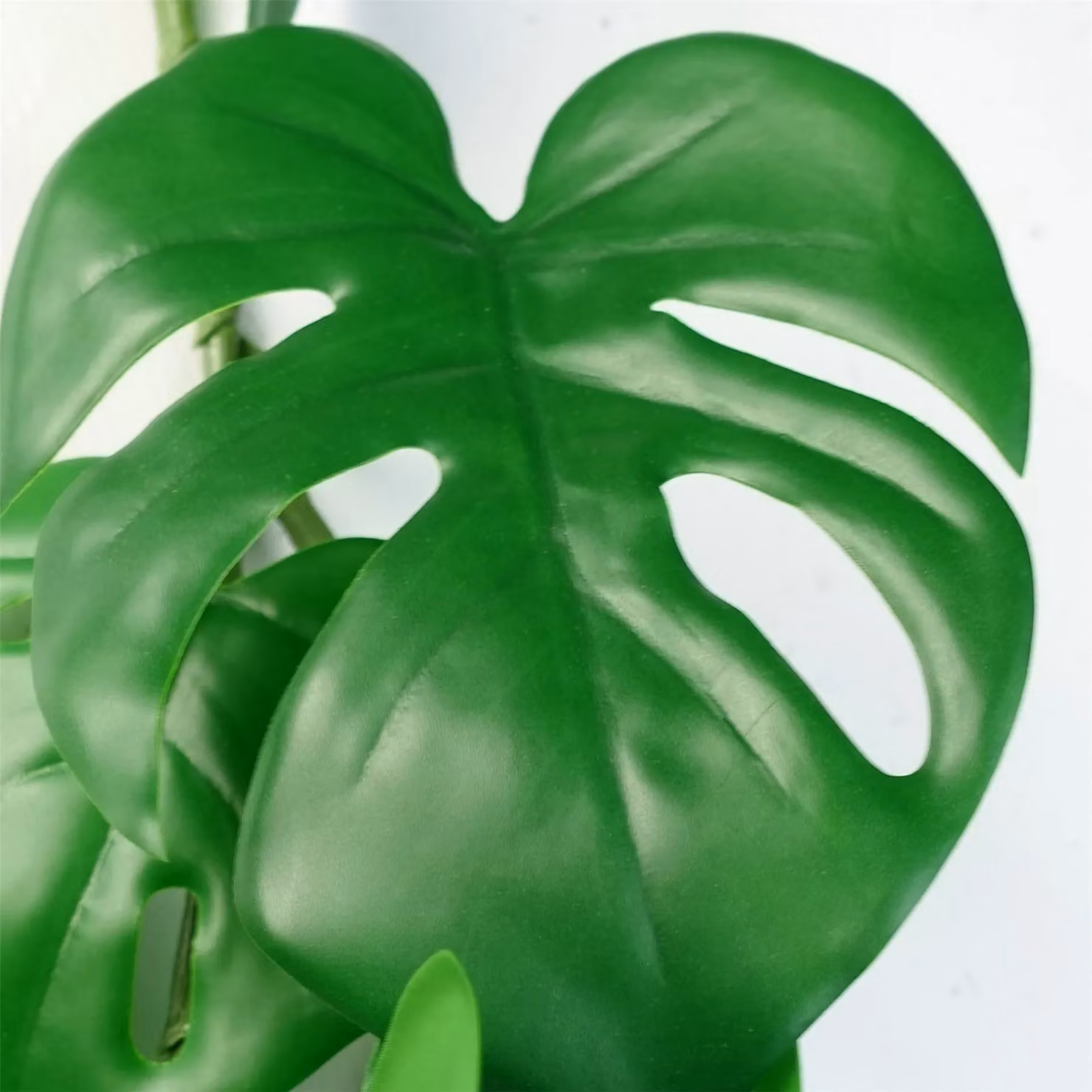 Leaf UK Green Artificial Trailing Hanging Monstera Plant, Height: 180 cm – 4