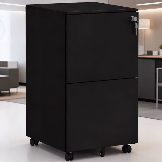 ERGOVEXA Lockable 2-Drawer Vertical Metal Filing Cabinet with Castors, Black
