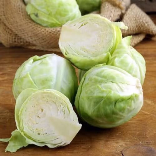 Thompson & Morgan Cabbage F1 Mozart Seeds, Green, 50 Seeds