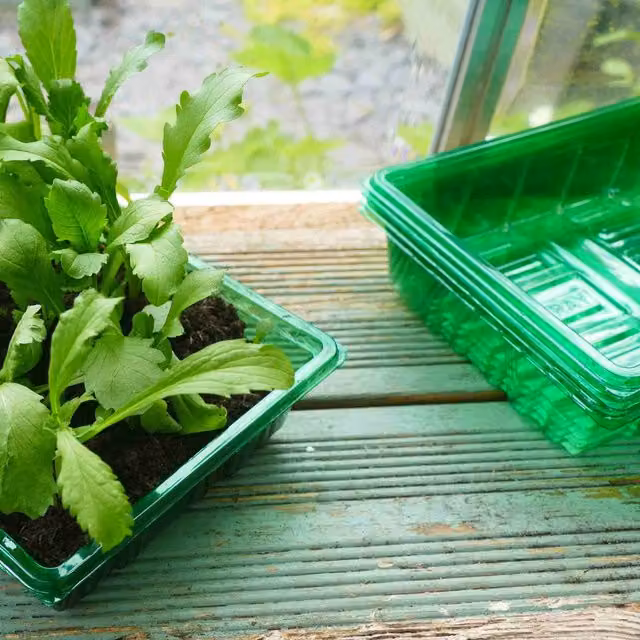 Gro-Sure Brown Plastic Planter for Indoor Plants