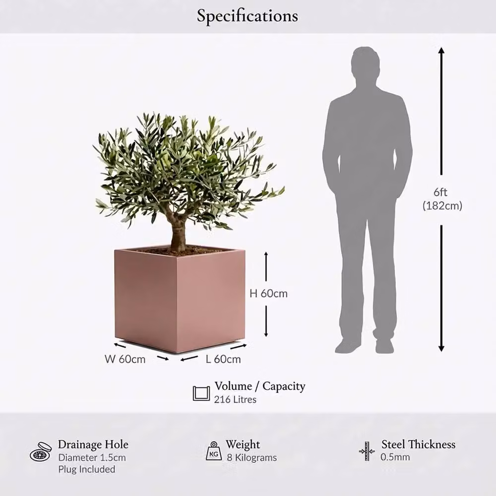 Access Garden Products Square Galvanised Steel Planter in Brushed Rose Gold Finish, 60 cm – 2