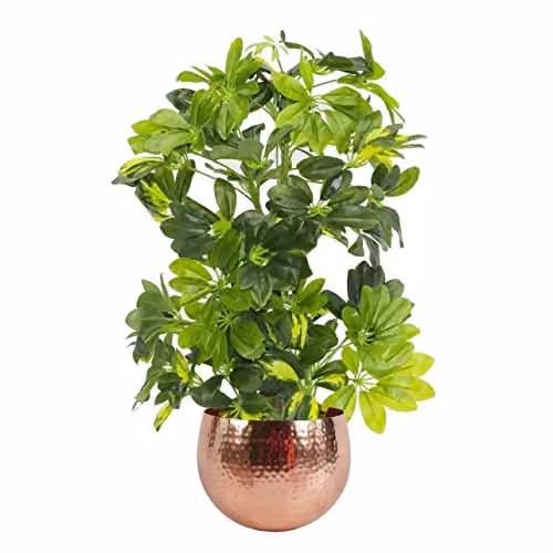 Leaf Design UK Artificial Arboricola Gold Capella Plant in a Copper Metal Planter, Green, Height: 75 cm – 1