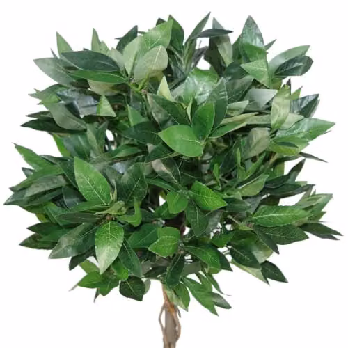 Leaf Design UK Artificial Bay Laurel Topiary Ball Tree in Green, Height: 90 cm – 3