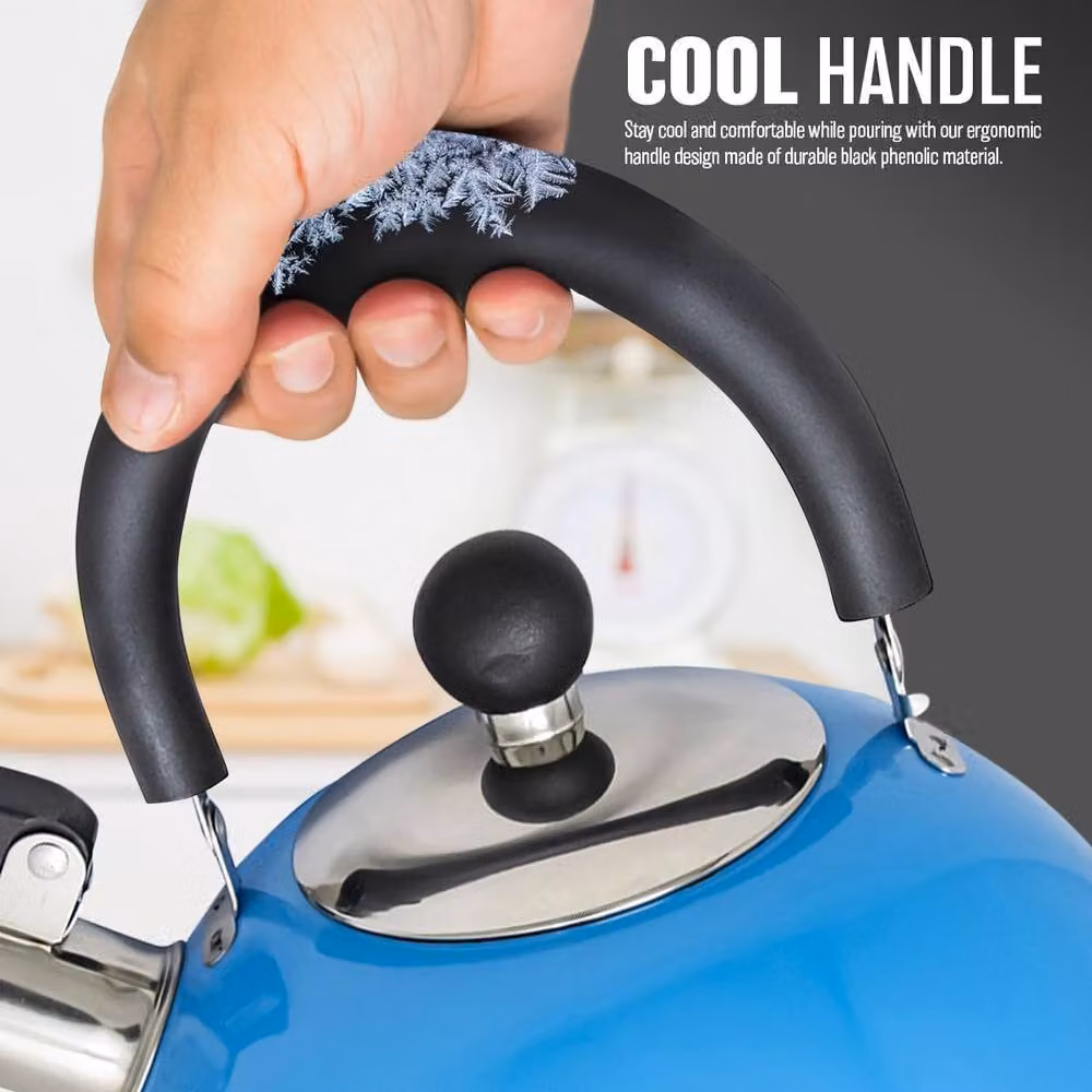 BARGAINS-GALORE 2.5l Stainless Steel Whistling Kettle in Blue and Light Blue – 4