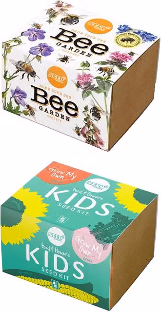 Seed Pantry Bee Garden and Kids Vegetable Growing Seed Kit Set, Multicolour – 1