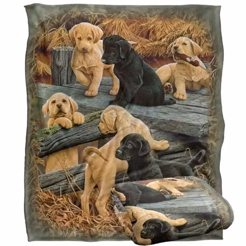 JQ Licensing Rle Labrador Pups Silky Touch Super Soft Fleece Throw Blanket, White, W: 152 cm, D: 127 cm – 1