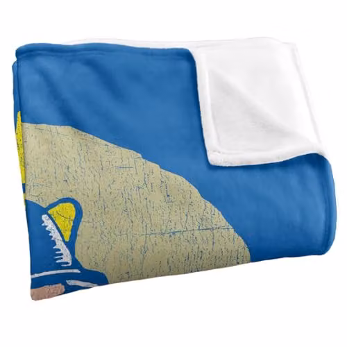 LOGOVISION DC Flash Faded Circle Super Soft Silky Touch Fleece Throw Blanket, Multicolour, W: 127 cm x D: 152.4 cm x H: 152.4 cm – 2