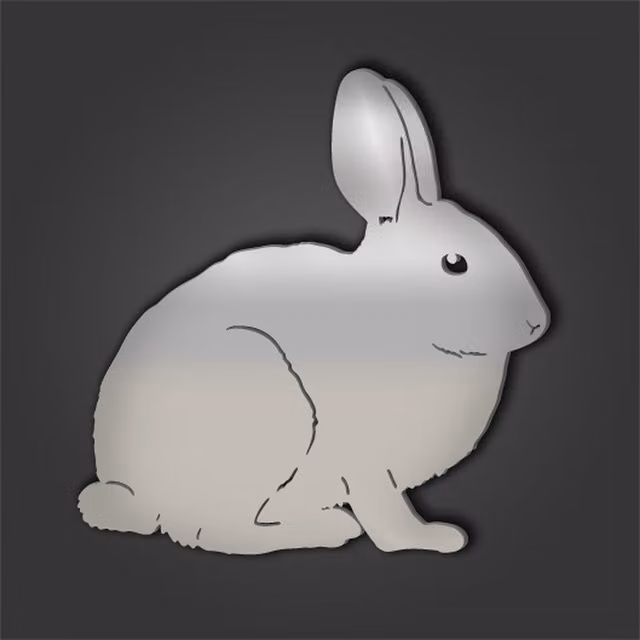 Rabbit Style 5 Silver Engraved Acrylic Mirror