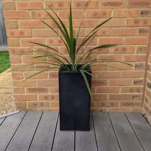 Tulipy Galvanised Steel Tall Square Planter, Black, W: 25 cm, D: 25 cm, H: 50 cm