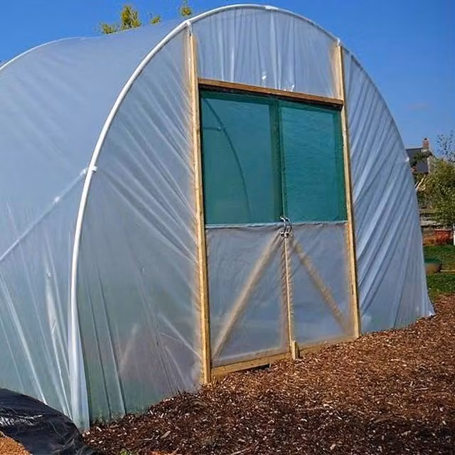 Direct Polytunnels Heavy Duty Professional Straight Sided Polytunnel Kit in Transparent and Yellow