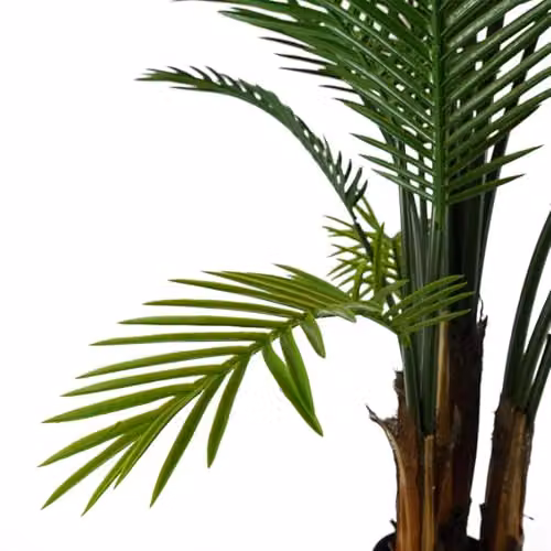 Botanik 125cm UV Resistant Raphis Palm Tree with Natural Trunk in Green and Black – 4