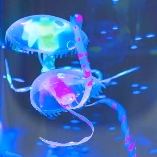 Global Gizmos 55219 Multi-Coloured Jellyfish Lamp with Colour Changing RGB LEDs and Calming Sensory Effect – 5