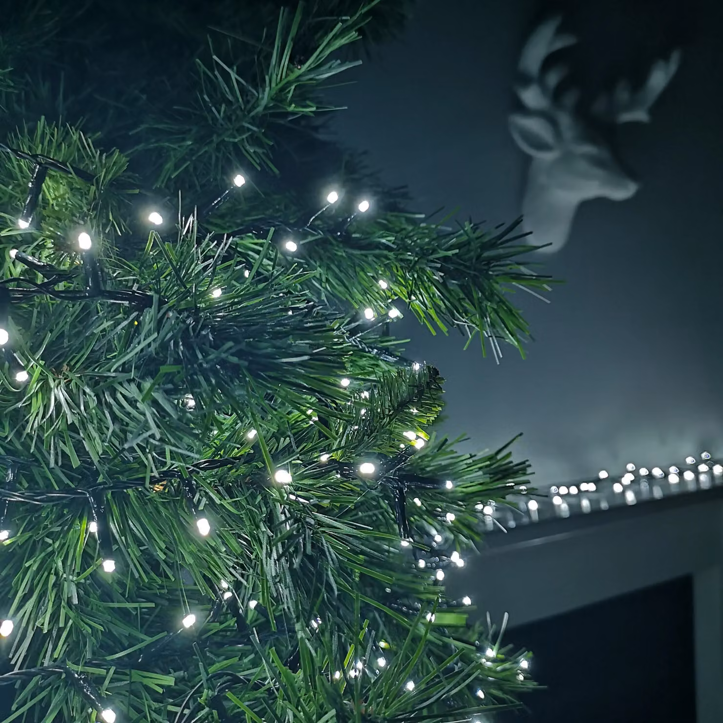 Samuel Alexander TreeBrights LED Christmas String Lights with Timer, Cool White, 37.5m – 4