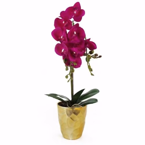 Leaf Design UK Realistic Artificial Orchid Plant in Pink and Gold Pot, Height: 54 cm