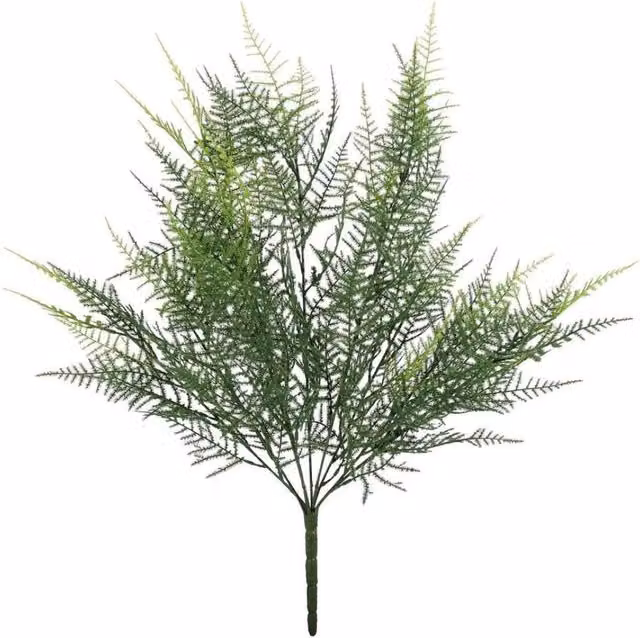 KDMD UV Exterior Junglist Asparagus Bush, Green, Height: 53 cm