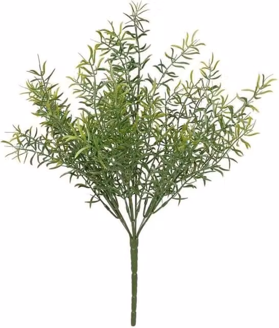 KDMD UV Exterior Everlast Asparagus Plant, 2 Pack, Green, 38 cm