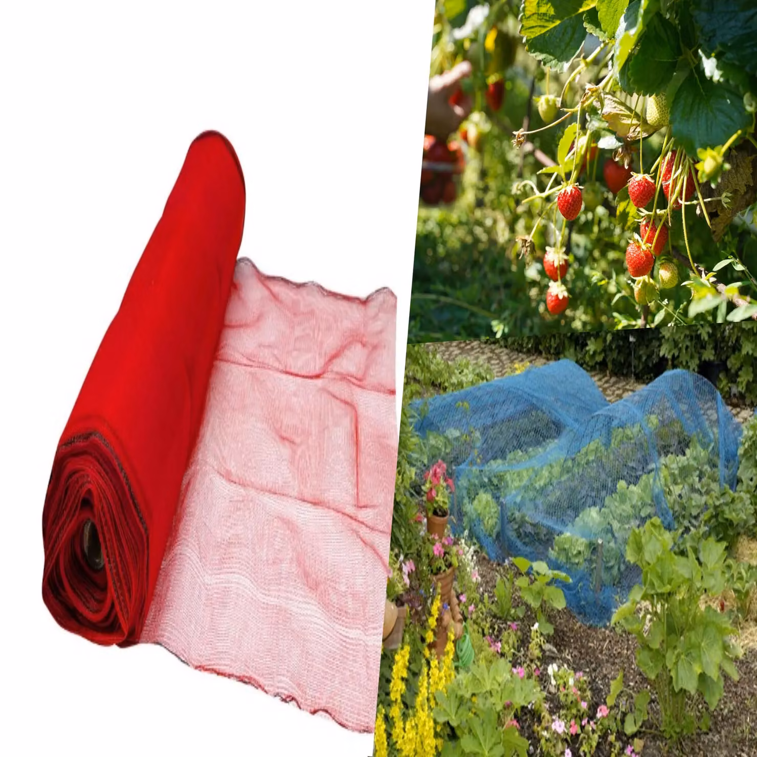 Pegdev Red UV-Stabilised Strawberry Netting for Fruit Plants and Vegetable Gardens, 24m – 3