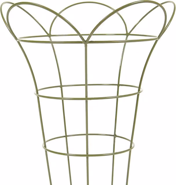 Tom Chambers Steel Garden Plant Support Basket, Green, Medium Pack of 2