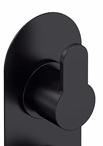 nuie Arvan Modern Bathroom Concealed Round Twin Thermostatic Shower Valve, Matt Black, Diameter: 21.5 cm – 2