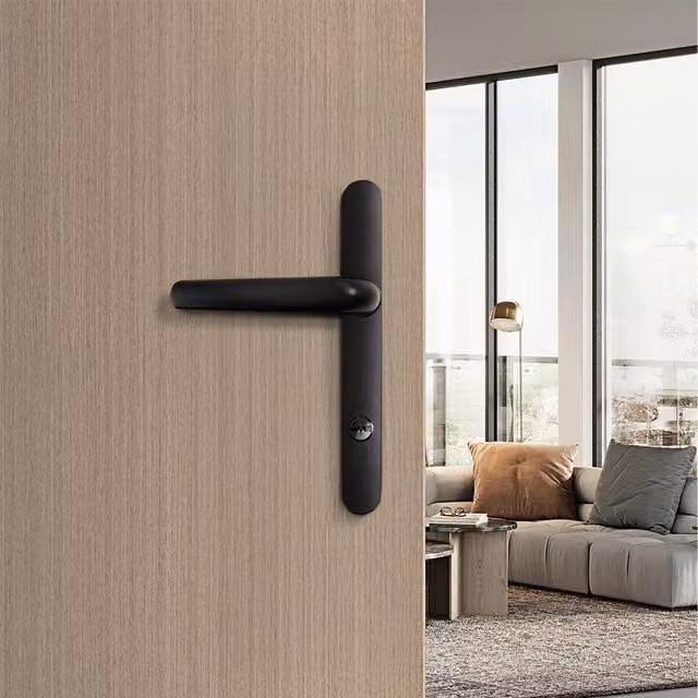 Livingandhome Pair of Black Aluminium Alloy Door Handles without Lock Cylinder