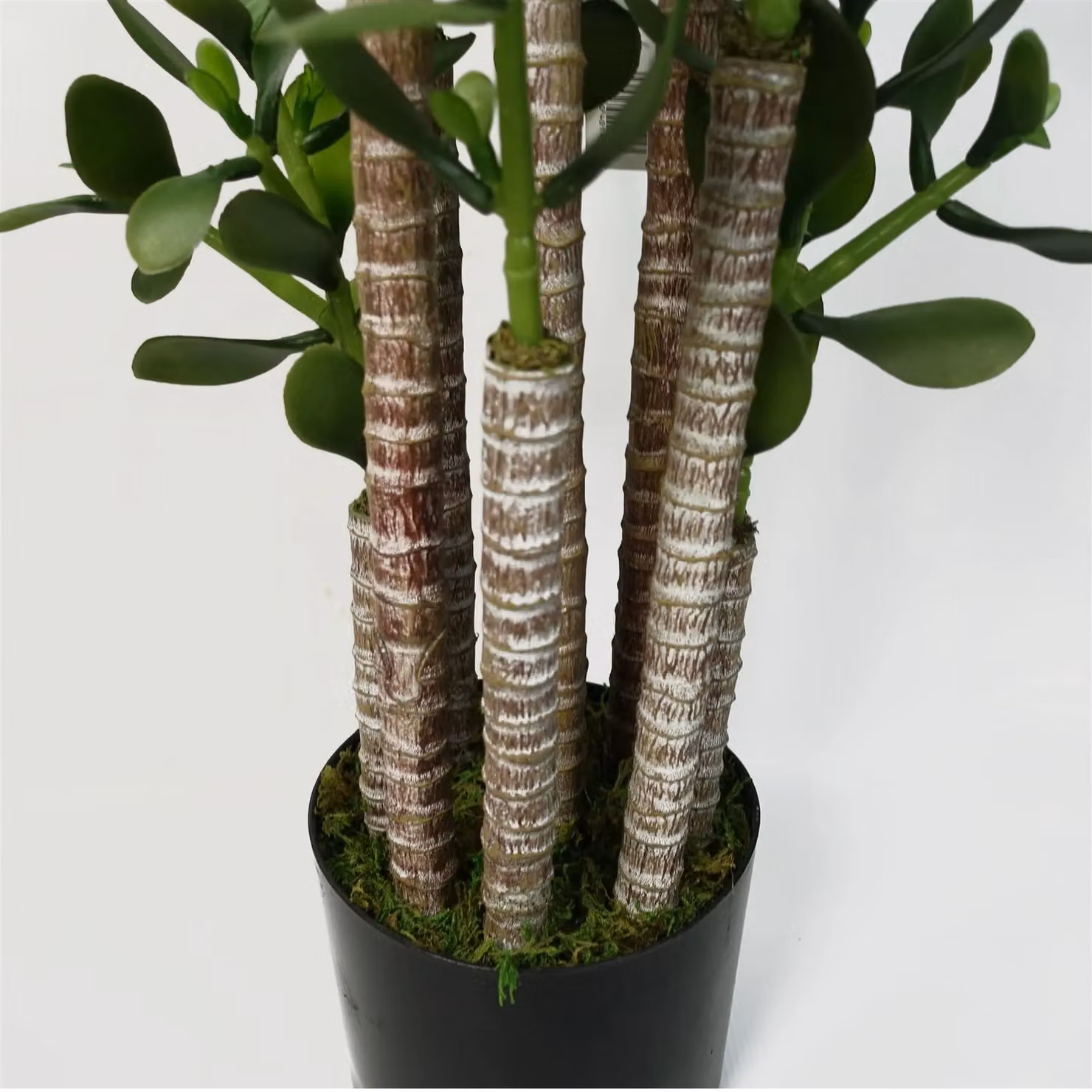 Leaf Faux Deluxe 75cm Artificial Green Jade Plant – 4