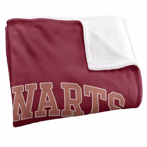LOGOVISION Harry Potter Hogwarts Gryffindor Alumni Super Soft Fleece Throw Blanket, Red/Multicolour, W: 91.44 cm, H: 147 cm – 2