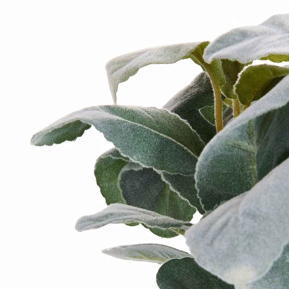 Wyld and Coco Green Lambs Ear Faux Potted Plant, Height: 30 cm – 3
