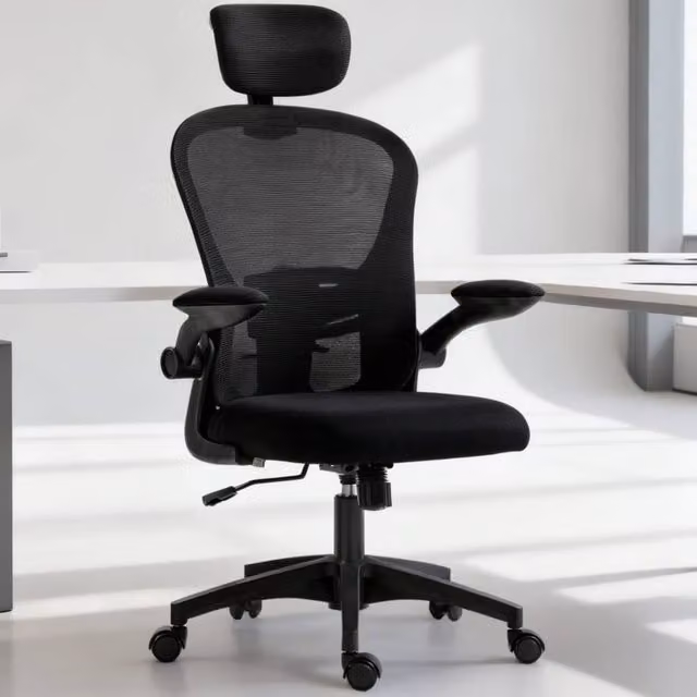 ERGOVEXA Ergonomic Multi-Adjustable Office Chair in Black Fabric with Headrest and Swivel Function