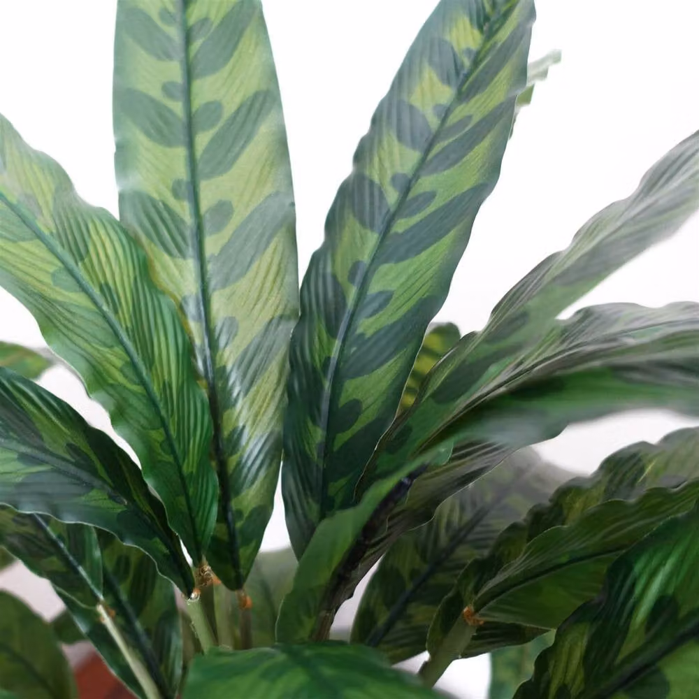 Leaf Design UK Realistic Large Variegated Artificial Calathea Plant in Green, Height: 60 cm – 3