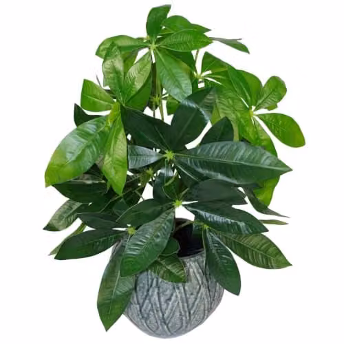 Leaf Design UK Artificial Money Tree Tabletop Plant in Green, Height: 50 cm – 1